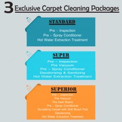 3-exclusive-carpet-cleaning-packages