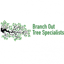 branch-out-tree-specialists-logo 12