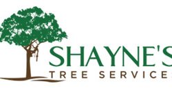 Shayne's Tree Services