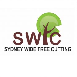 SWTC- logo