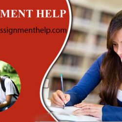 essay help australia