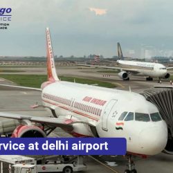 courier service at delhi airport 1