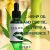 Hemp Oil