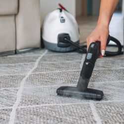 woman-cleaning-carpet-with-steam-cleaner_266247-802