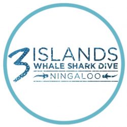 Three Islands Whale Shark Dive