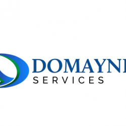 Domayne Services Logo