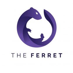 Ferret